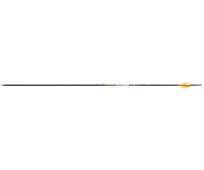 easton asta x-10
