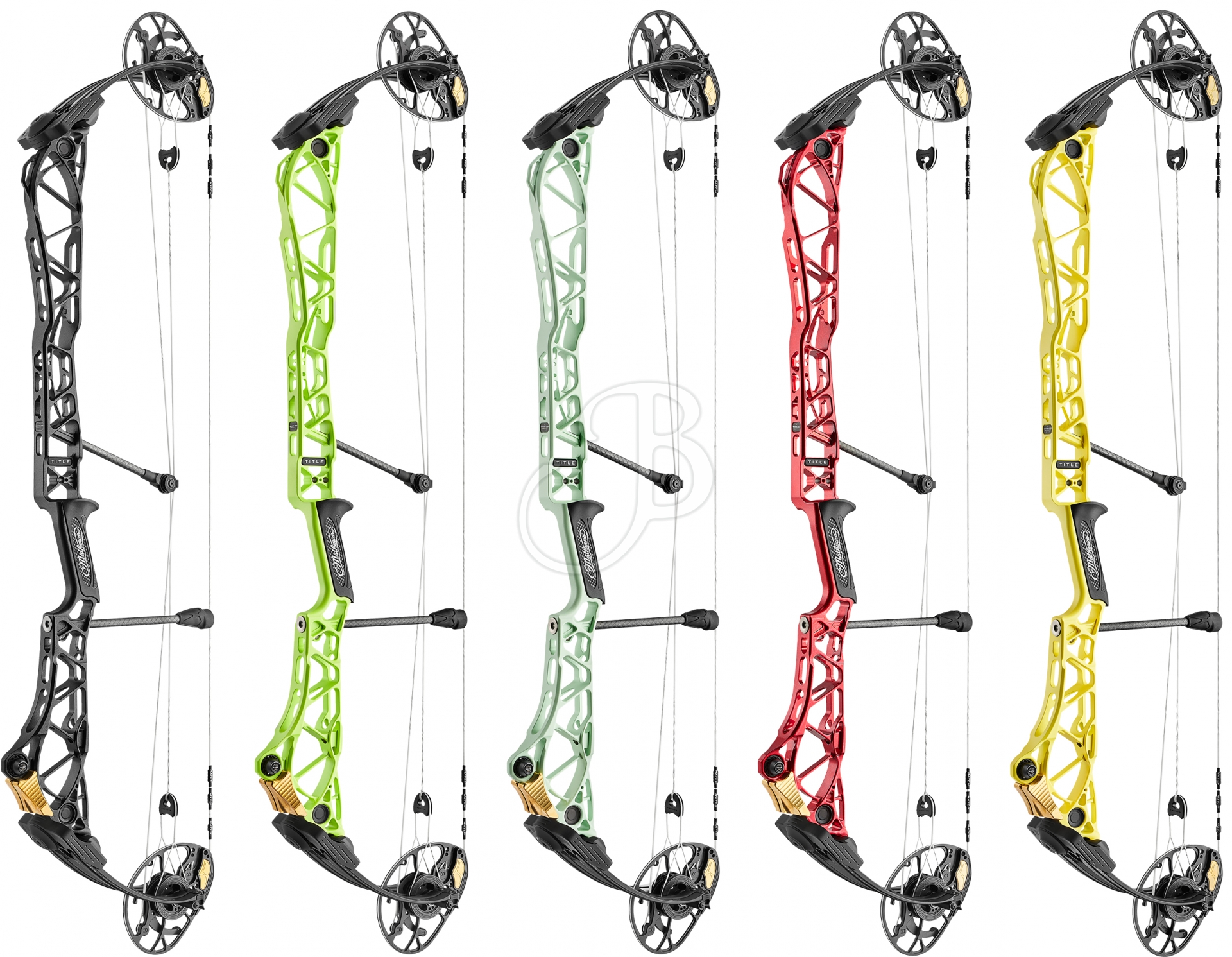 MATHEWS TITLE 38